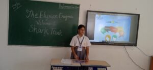 Elysian-Enigma - Interschool competition-2022