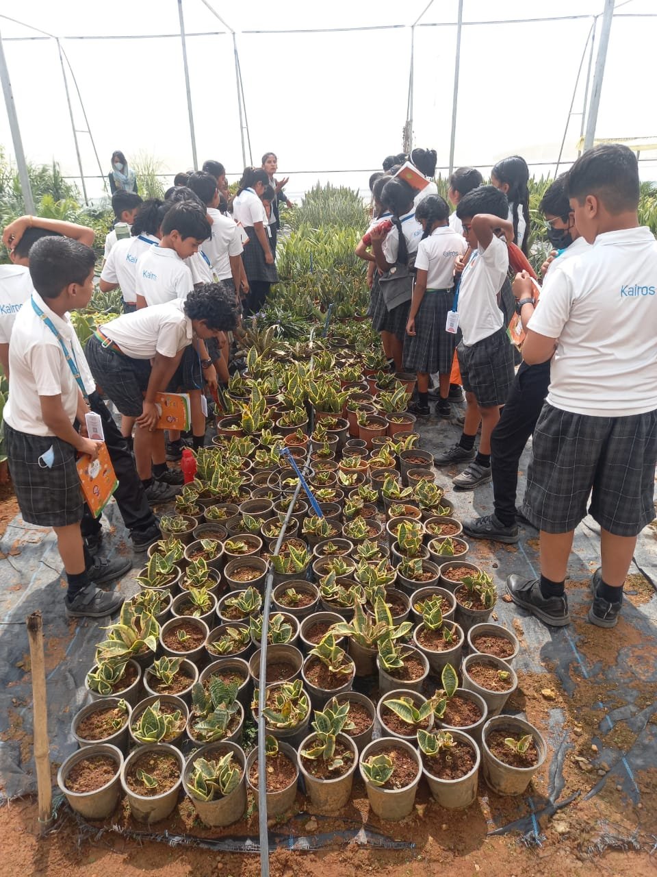 Gr3 to 5- Trip to Medicinal plants